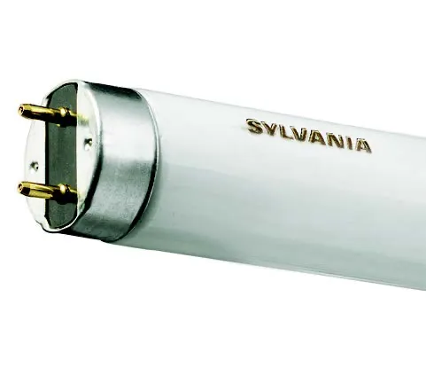 Tube fluorescent T8 Luxline Plus — 25 W — 840 — 818 mm — G13 — image 1