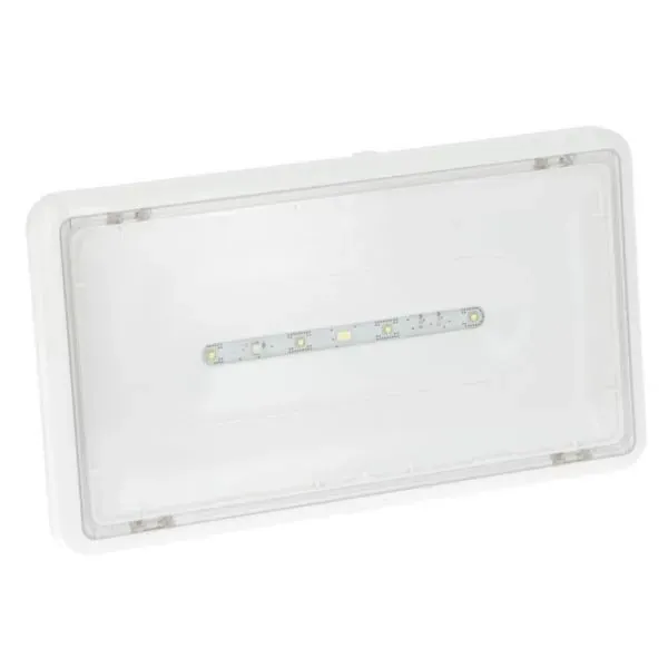 Bloc d'ambiance saillie LED — 400 lm — IP43 IK07 — image 1