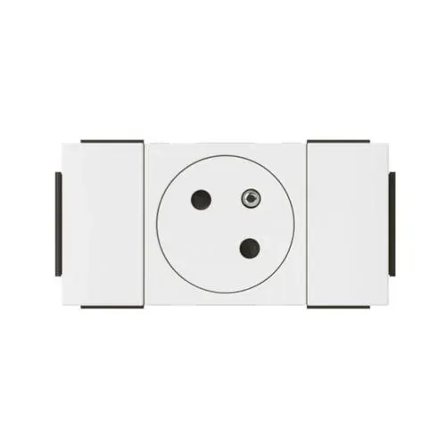 Prise 2P+T surface goulotte — 1 rangée × 2 modules — blanc — image 1