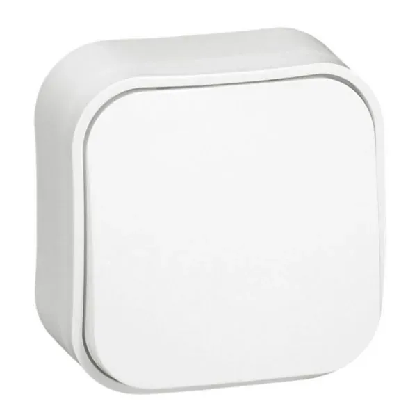 Interrupteur simple Forix — 10 AX 250 V — IP2X — blanc brillant — image 1