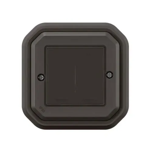 Commande double sans fil sans pile Plexo with Netatmo IP55 en saillie - anthracite — image 1