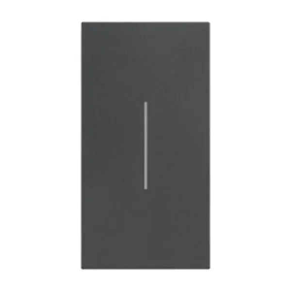 Enjoliveur commande d'éclairage — 1 rangée × 2 modules — noir — image 1